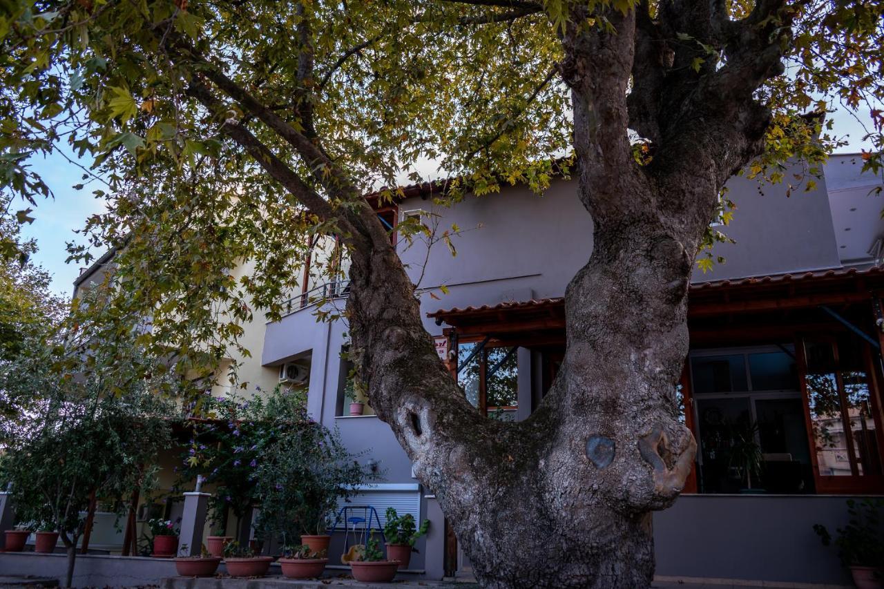 Kipos Resort Néa Péramos エクステリア 写真
